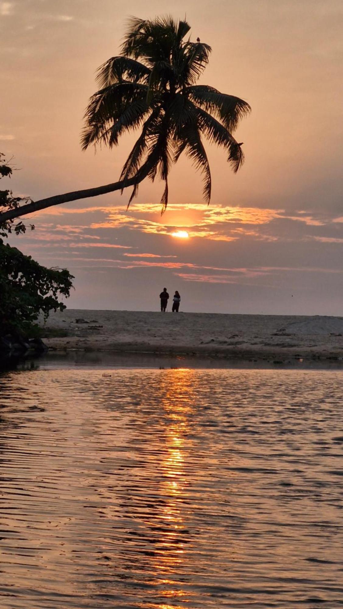 Alappuzha Gypsea Marari B&B 외부 사진